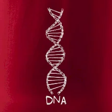 Cyklistovo DNA