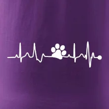 Ekg psia labka Ekg psia labka