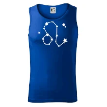 Súhvezdie - Leo - Lev Súhvezdie - Leo - Lev