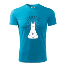 Yoga Llamaste Yoga Llamaste