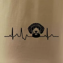 Lagotto romagnolo hlava EKG Lagotto romagnolo hlava EKG