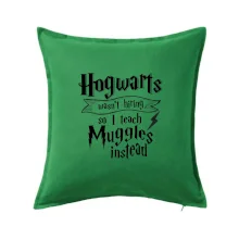 Harry - Hogwarts wasn’t hiring, so I teach Muggles instead