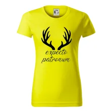 Harry - Expecto patronum