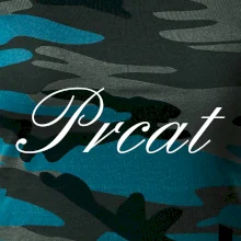 Prcat (súložiť vulgárne)