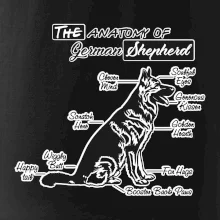 Nemecký ovčiak - Anatómia