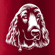 Kokeršpaniel - hlava kreslená