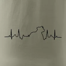 Stafordšírsky bulteriér ‎ EKG