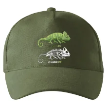 ChameleON_OFF (Hana-creative) ChameleON_OFF (Hana-creative)
