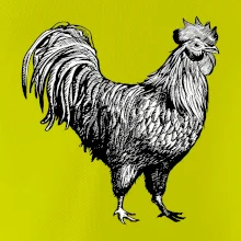 Kohút kreslený čiernobiely