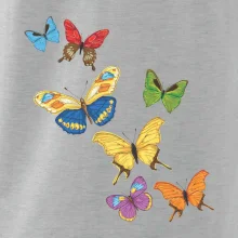 Farebné motýle Farebné motýle