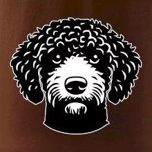 Lagotto romagnolo hlava na prsníku