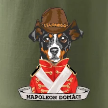 Napoleon domáci kríženec