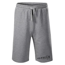 Evolúcia lešenia Evolúcia lešenia