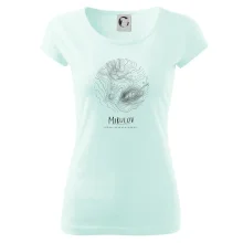 Mikulov - vrstevnice v kruhu