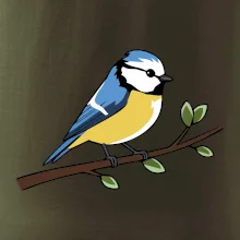 Sýkorka modrinka na vetve