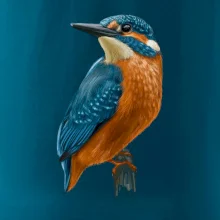 Ľadnáčik kreslený Ľadnáčik kreslený