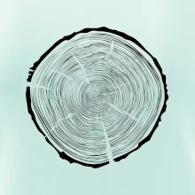 Letokruhy 95 bez veku