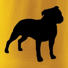 Americký stafordšírsky teriér Na prsníku