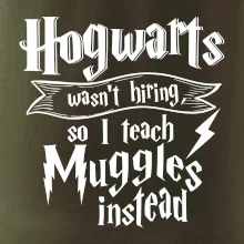 Harry - Hogwarts wasn’t hiring, so I teach Muggles instead