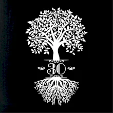 Narodeninový strom 30