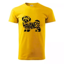 Havanese nápis v tele