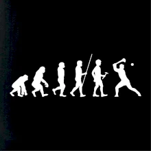 Evolúcia hurling