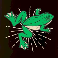 Žaba zelená kreslená