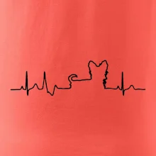 Yorkshirský teriér EKG Yorkshirský teriér EKG