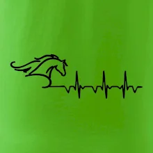 Hlava koňa EKG