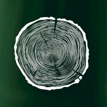 Letokruhy 80 bez veku Letokruhy 80 bez veku