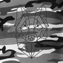 Geometria - vlk Geometria - vlk