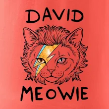 David Meowie