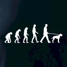 Evolúcia pes stavač Evolúcia pes stavač