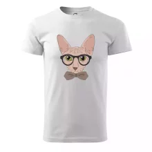 Hipster sphynx Hipster sphynx