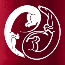 Jazvečíky - Jin jang Jazvečíky - Jin jang