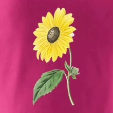 Slnečnica otočená