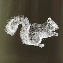Veverička kresba