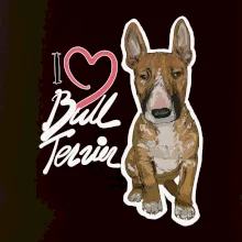 I love bull terrier