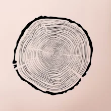 Letokruhy 75 bez veku