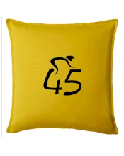 Cyklista oslavuje štyridsaťpäťku (45)