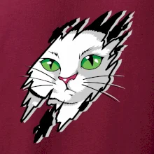 Kočka v roztrženém triku