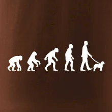 Lagotto romagnolo Evolúcia