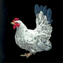 Sliepka kreslená biela Sliepka kreslená biela