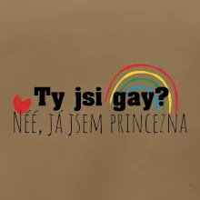 Gay princezna