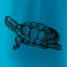 Ceruzkou kreslená korytnačka