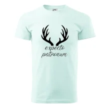 Harry - Expecto patronum