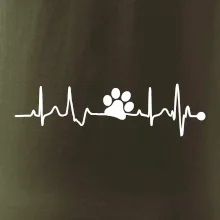 Ekg psia labka Ekg psia labka