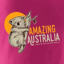 Amazing Australia koala Amazing Australia koala