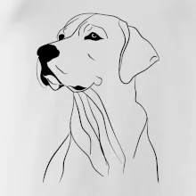 Labrador čierna kresba