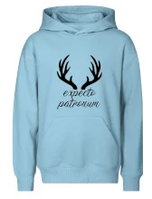 Harry - Expecto patronum